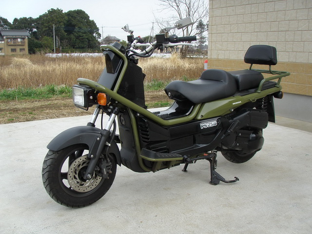 Купить мотоцикл Honda PS250 2004 фото 12